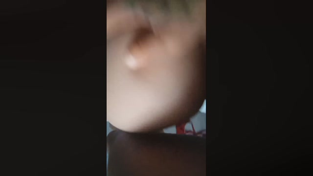 LolaeBunny  15-08-2022